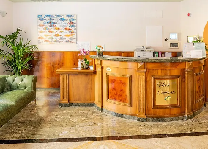 Hotel Centrale 4* 加尔达