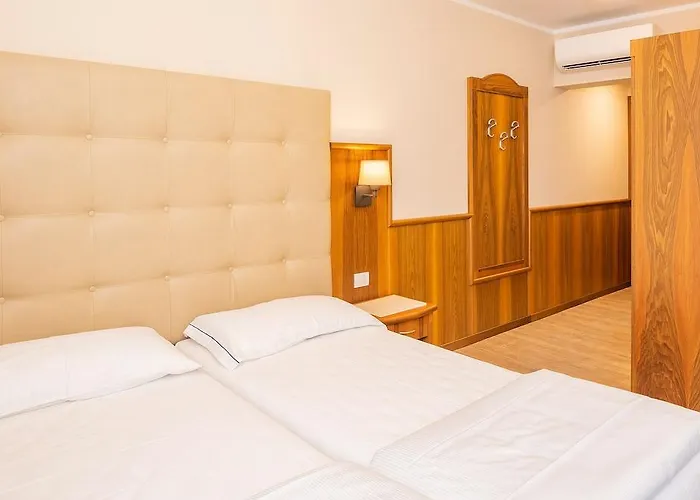 Hotel Centrale 酒店 4*