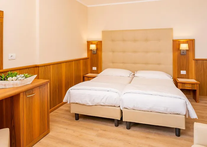 Hotel Centrale 酒店 4*